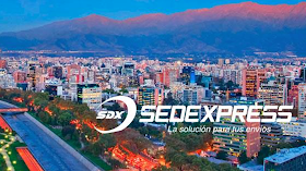 Sedexpress - Courier - Delivery - Moto Junior - Servicios de entregas
