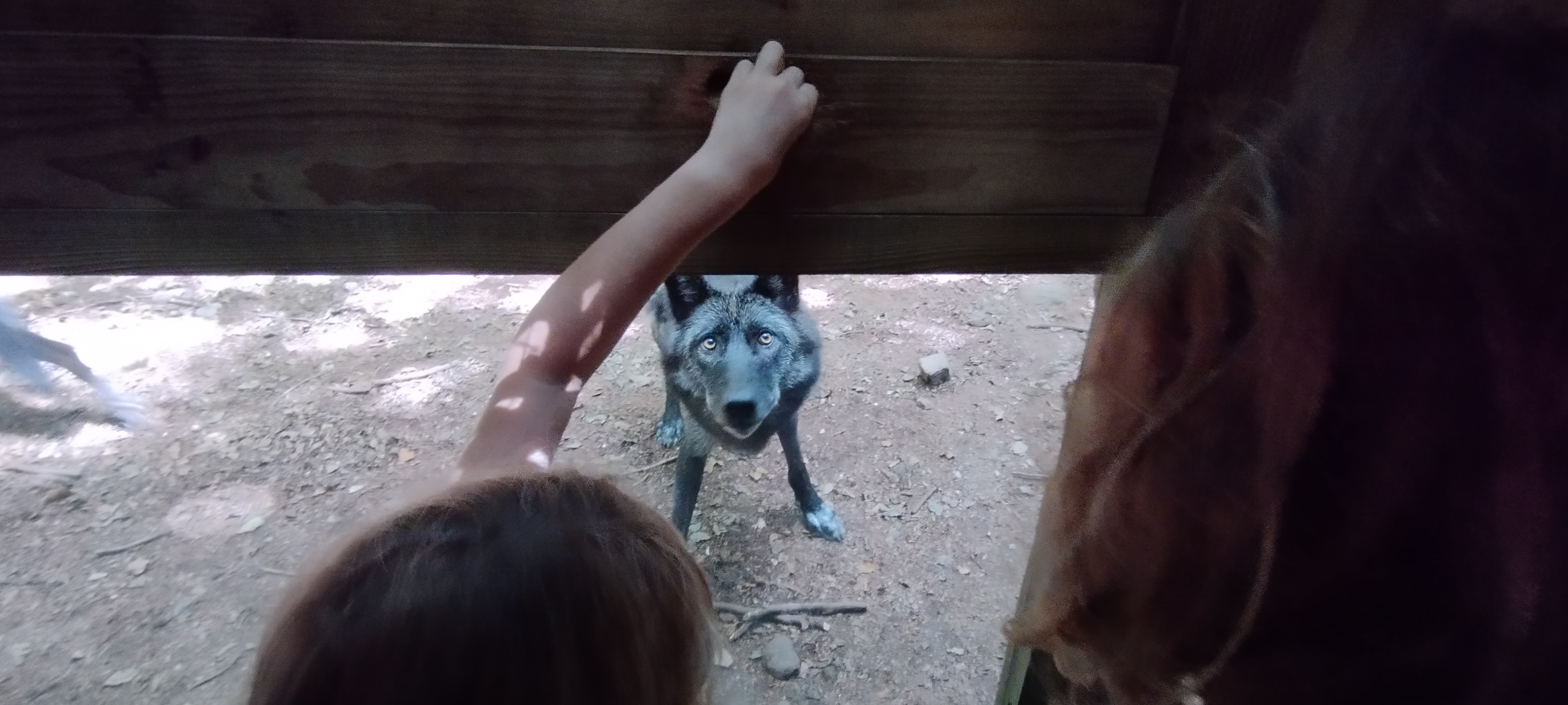 Photo n° 8 de l'avis de Fabrice.e fait le 19/08/2023 à 21:56