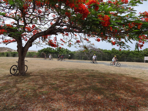 Travel Agency «Alpha World Travel Honeymoons and Destination Weddings», reviews and photos, 107 Edinburgh S Dr #114, Cary, NC 27511, USA