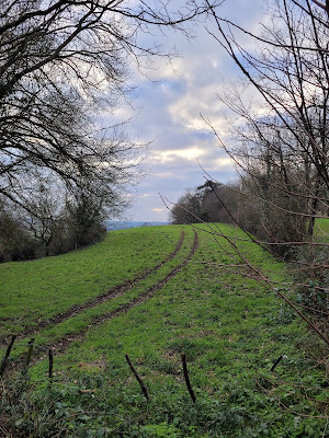 Croix du Pressoir Neuf, Bouzillé à Orée-d'Anjou