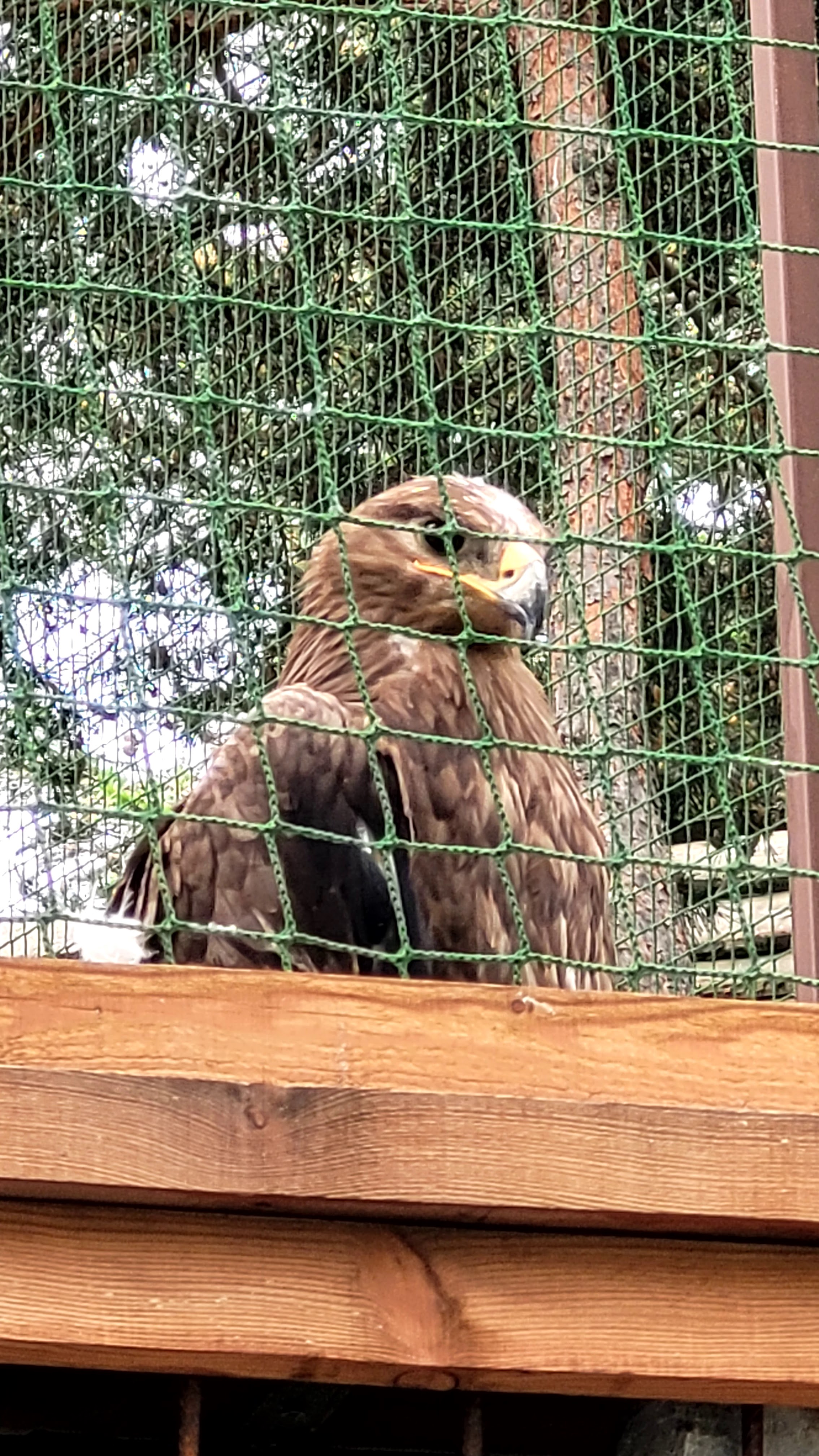 Photo n° 29 de l'avis de PASSIONS.O fait le 24/05/2023 à 09:56