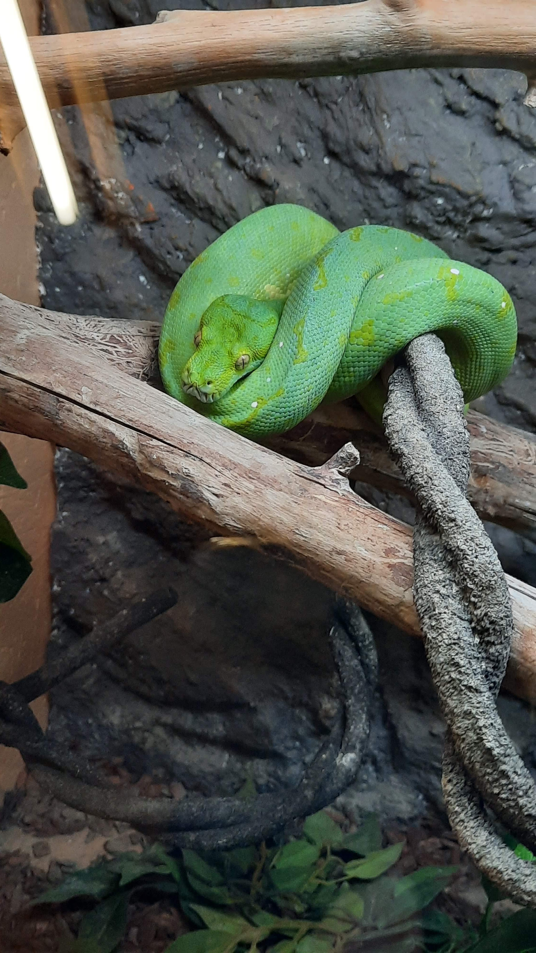 Photo n° 5 de l'avis de Kaya.a fait le 20/08/2022 à 07:05