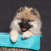 Rough Tooth Photography - Photo 6 - Car repair in Shillington, PA, Reading