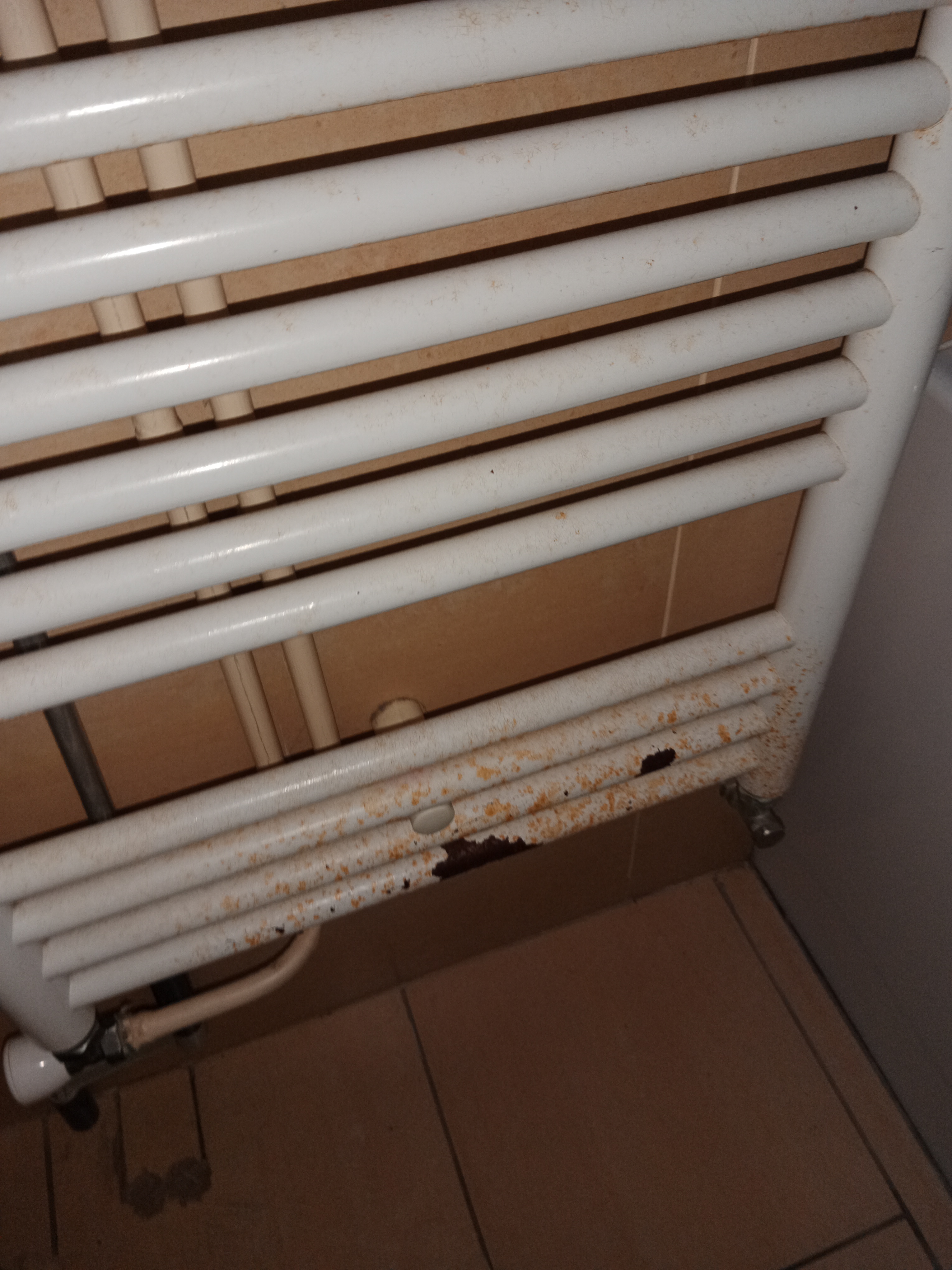 Photo n° 8 de l'avis de Florian.g fait le 19/01/2024 à 12:04