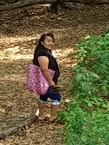 Dog Park «Forest Park Dog Run», reviews and photos, 8445 Park Ln S, Woodhaven, NY 11421, USA