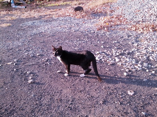 Golf Course «Overpeck Golf Course», reviews and photos, 273 E Cedar Ln, Teaneck, NJ 07666, USA