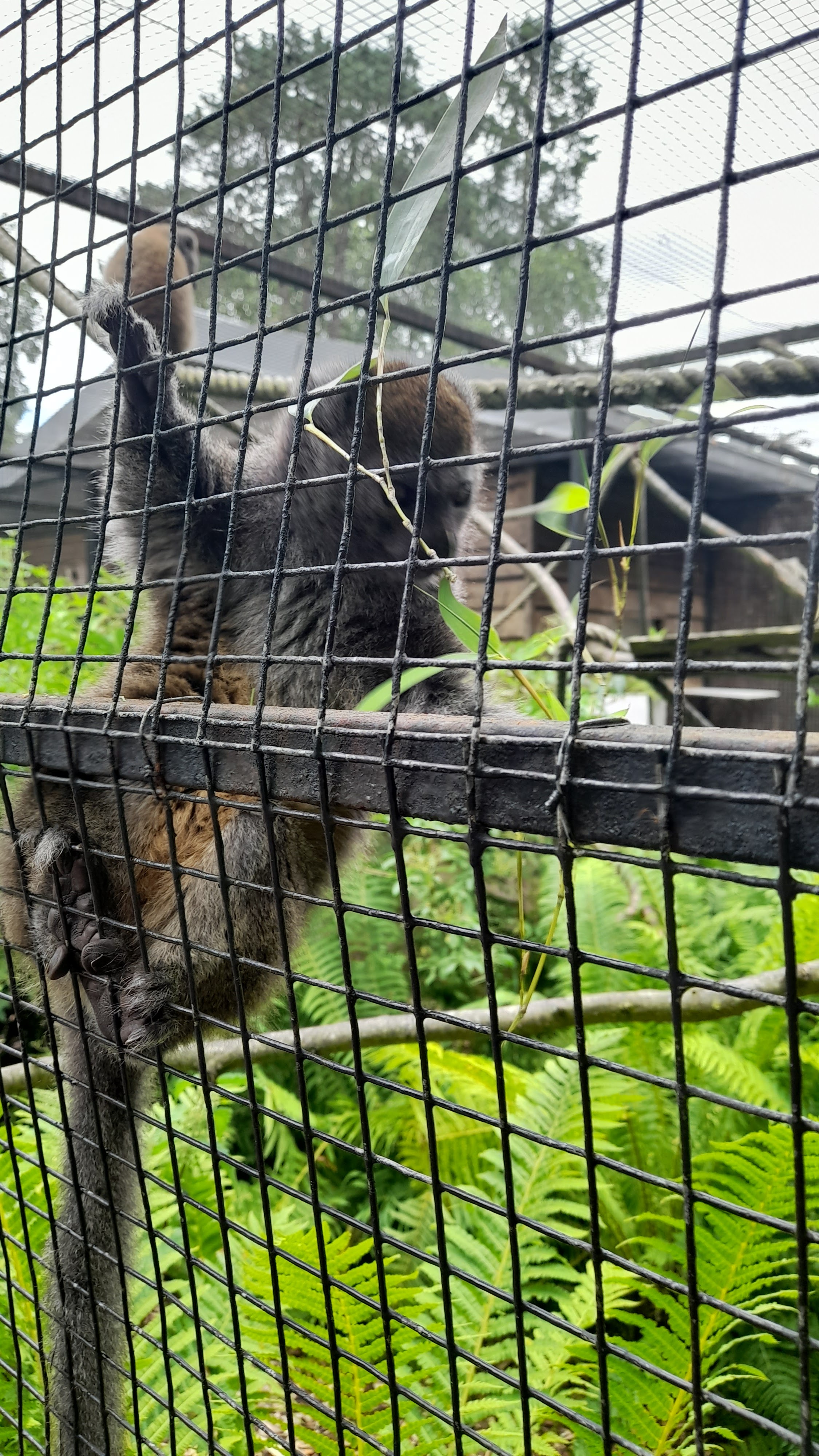 Photo n° 7 de l'avis de Bty.o fait le 12/07/2023 à 12:04