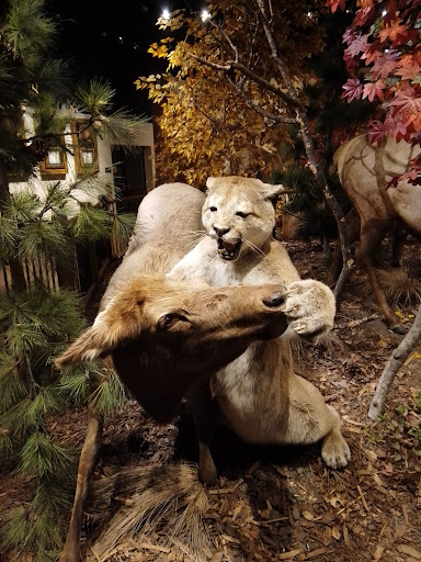 Outlet Mall «St. Louis Outlet Mall», reviews and photos, 5555 St.Louis Mills Blvd, Hazelwood, MO 63042, USA