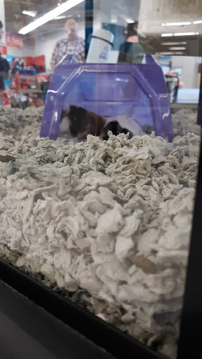 Pet Supply Store «Petco Animal Supplies», reviews and photos, 1540 Eastern Blvd, Montgomery, AL 36117, USA