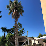 Photo n°1 de l'avis de STEFANO.A fait le 14/08/2019 à 15:54 sur le  Agriturismo Il Trappeto à Gallipoli