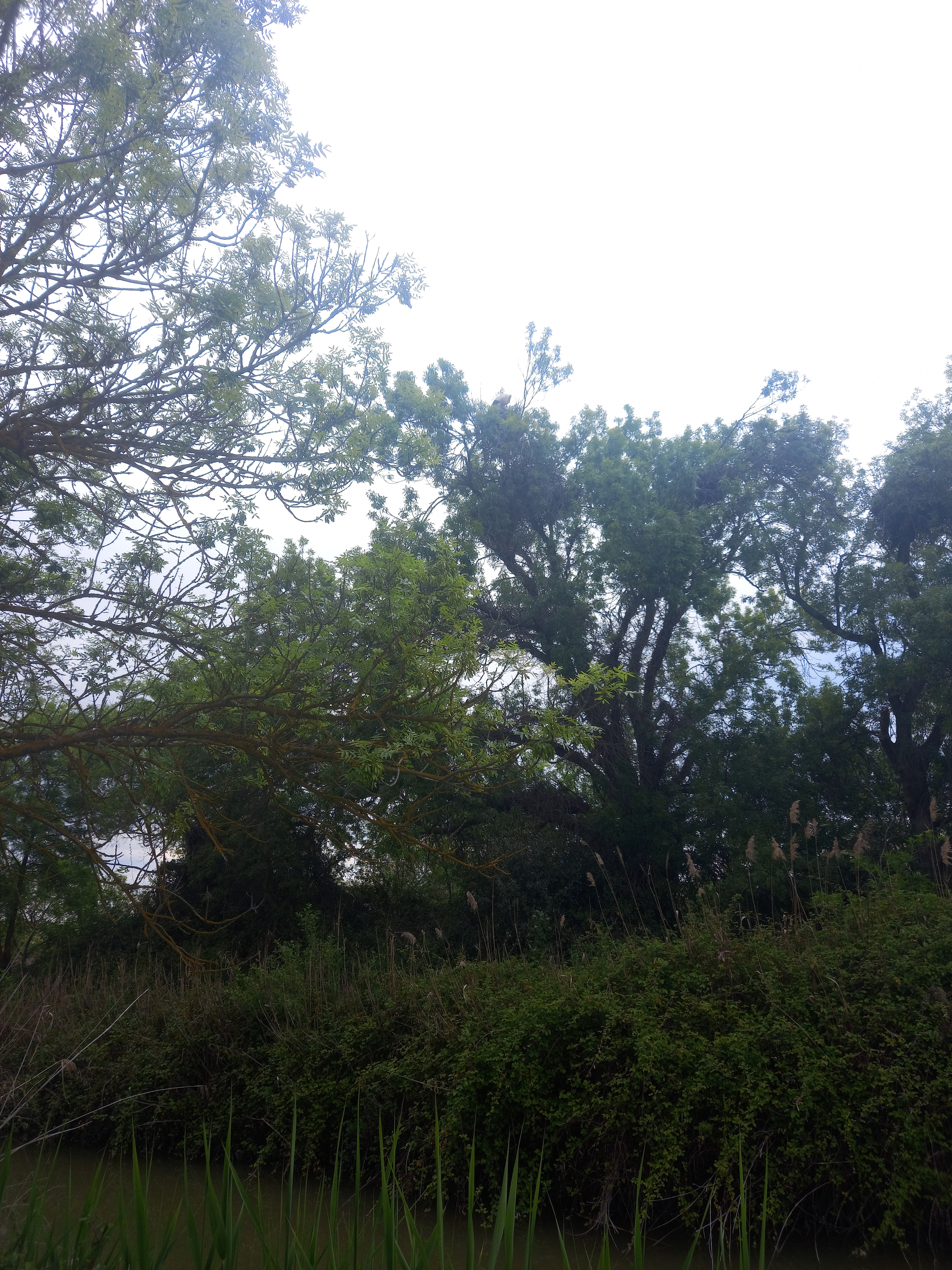 Photo n° 4 de l'avis de Océane.r fait le 18/04/2021 à 15:24