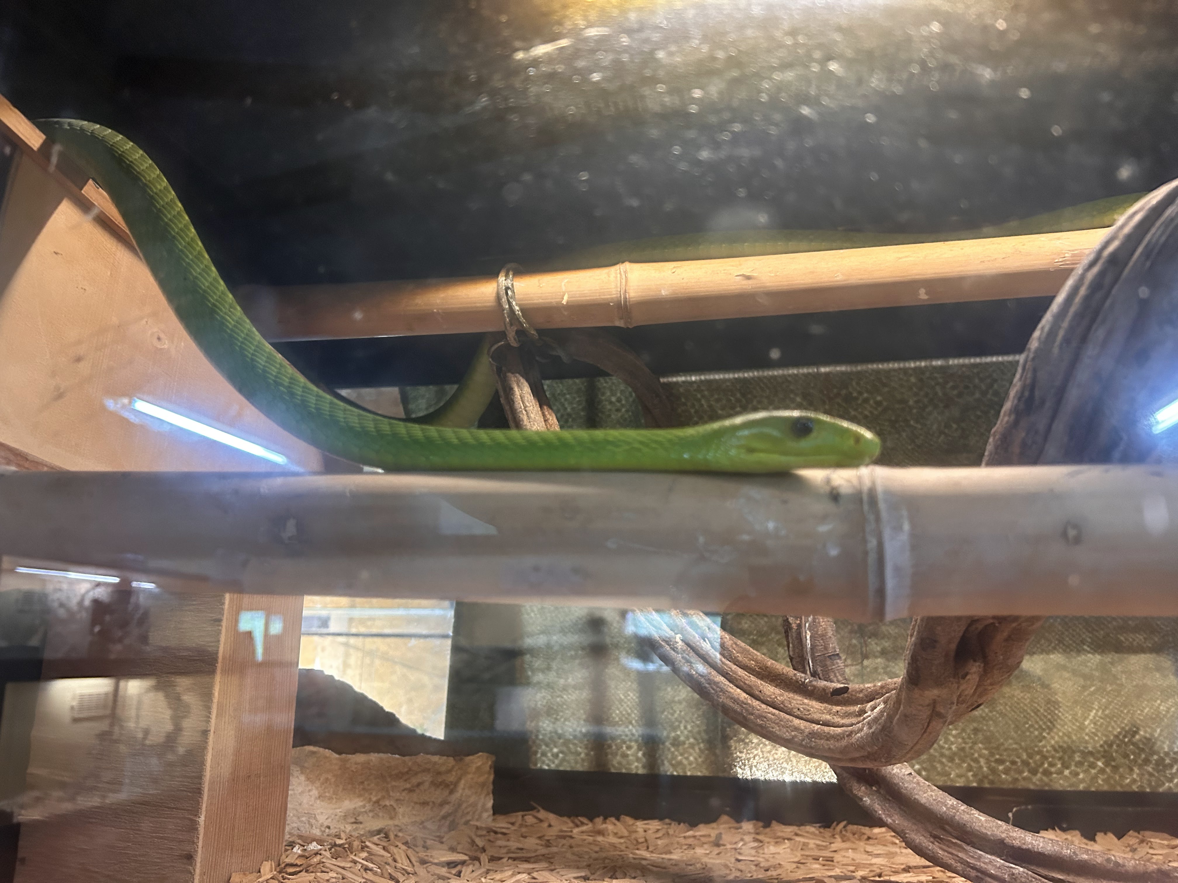 Photo n° 3 de l'avis de Adeline. fait le 18/08/2023 à 22:13