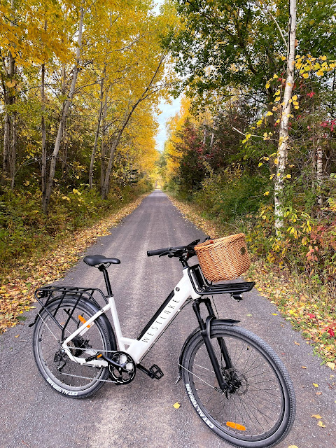 Westlake E-Bike Rentals PEC