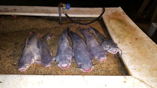 Tourist Attraction «Calaveras Lake Entrance», reviews and photos, 12965 Bernhardt Rd, San Antonio, TX 78263, USA