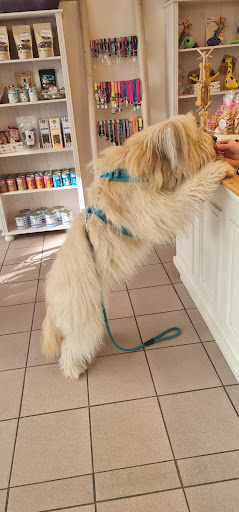 Shop around the dog e.K. unter Darmstadt, 