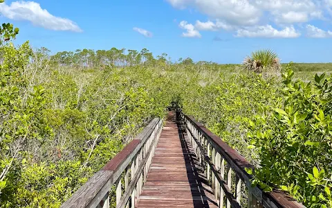 Briggs Boardwalk image