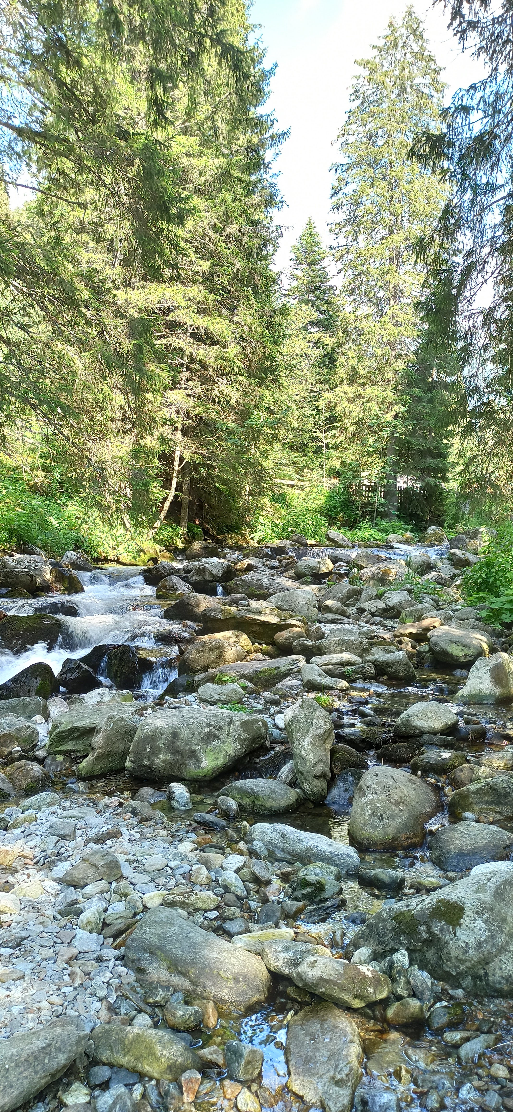 Photo n° 1 de l'avis de Paul. fait le 06/01/2021 à 18:40