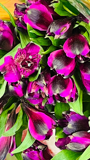 Florist «Hillside Floral Design», reviews and photos, 153-39 Hillside Avenue, Jamaica, NY 11432, USA