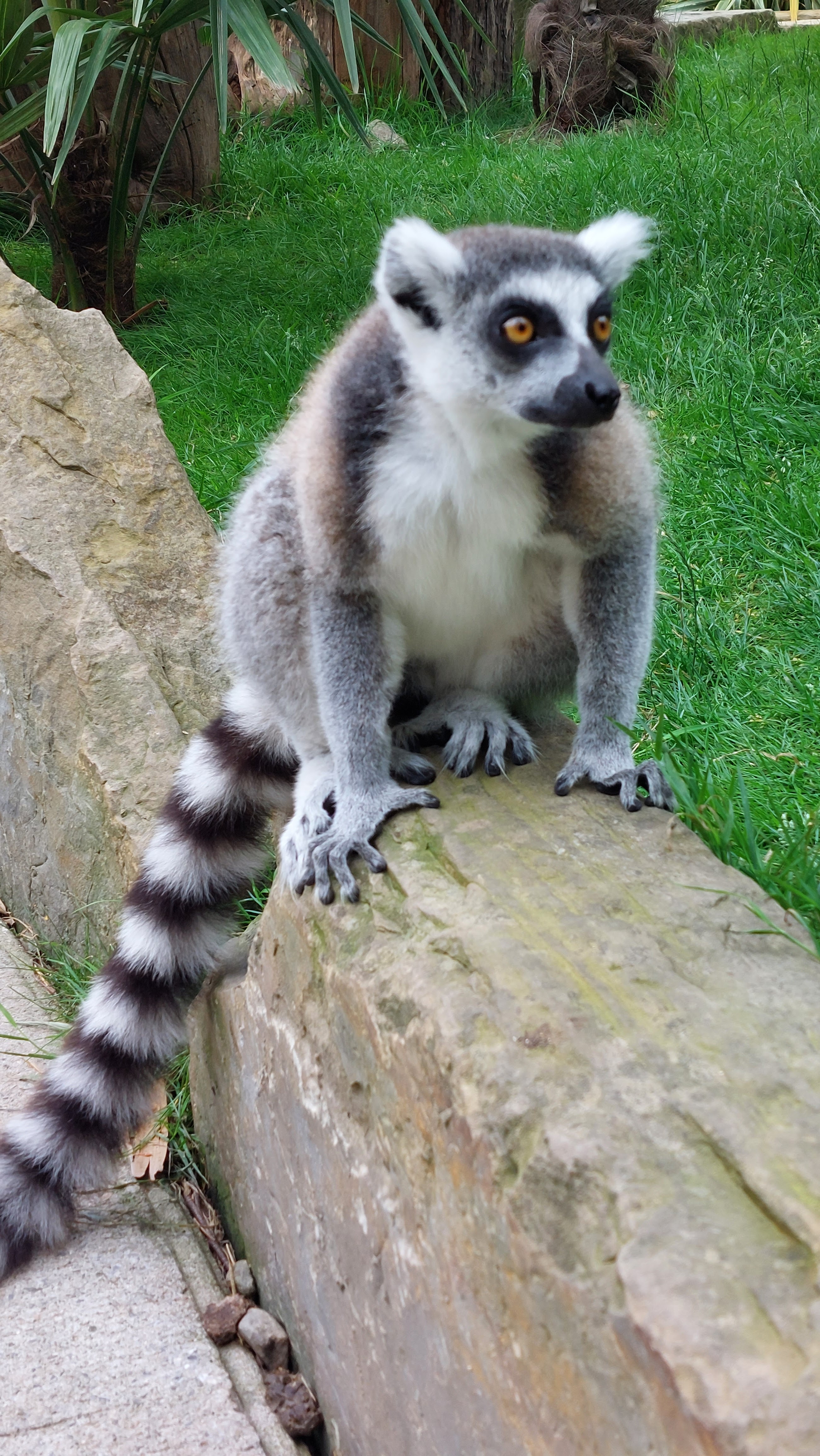 Photo n° 4 de l'avis de Frederick.e fait le 06/07/2022 à 18:45