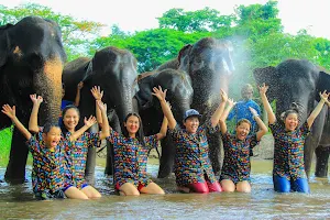 Kanta Elephant Sanctuary image