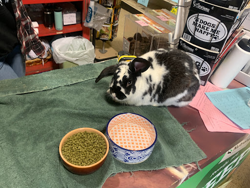 Garden Center «Agriventures Agway», reviews and photos, 92 Mill Plain Rd, Danbury, CT 06811, USA