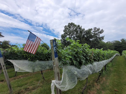 Vineyard «Nickle Creek Vineyard», reviews and photos, 12 King Rd, Foster, RI 02825, USA