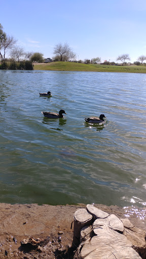 Golf Club «Golf Club at Johnson Ranch», reviews and photos, 30761 W Golf Club Dr, San Tan Valley, AZ 85143, USA