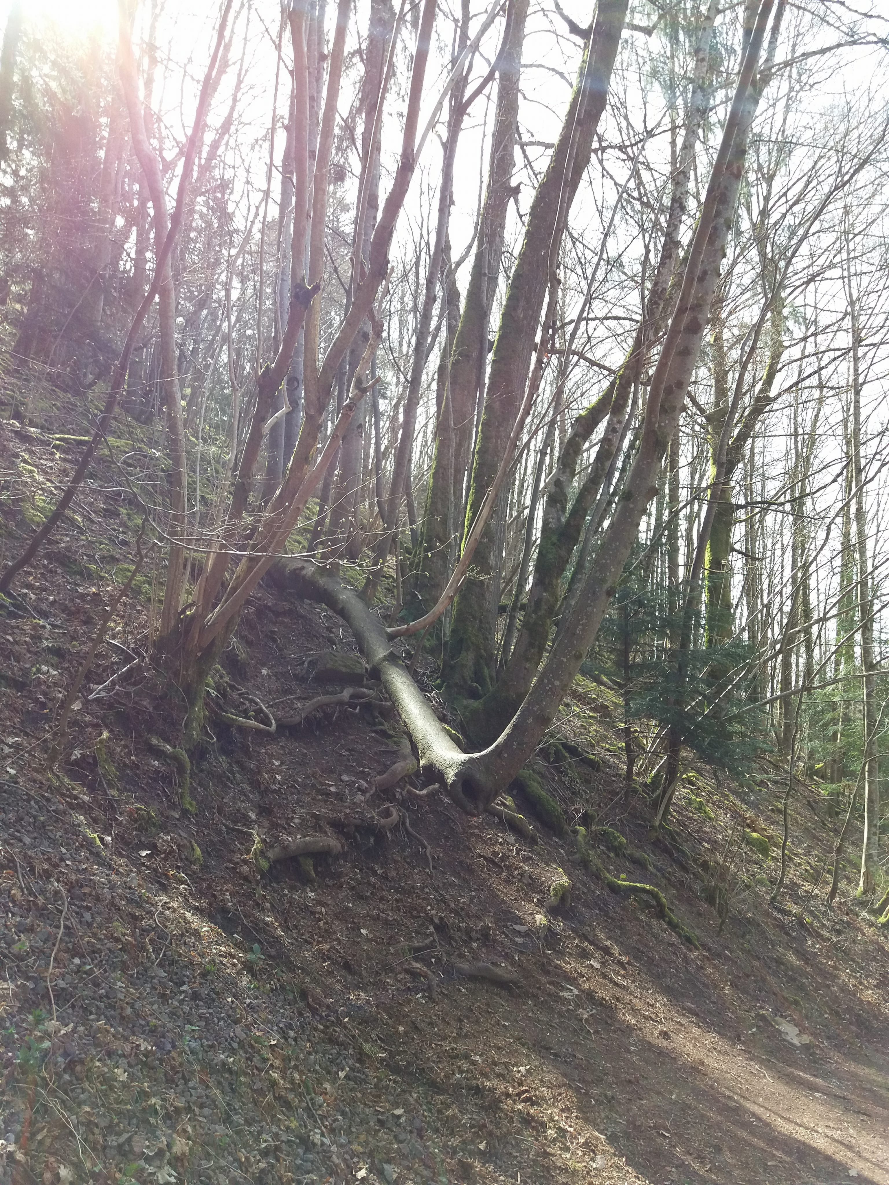 Photo n° 5 de l'avis de yann.a fait le 12/04/2018 à 05:08