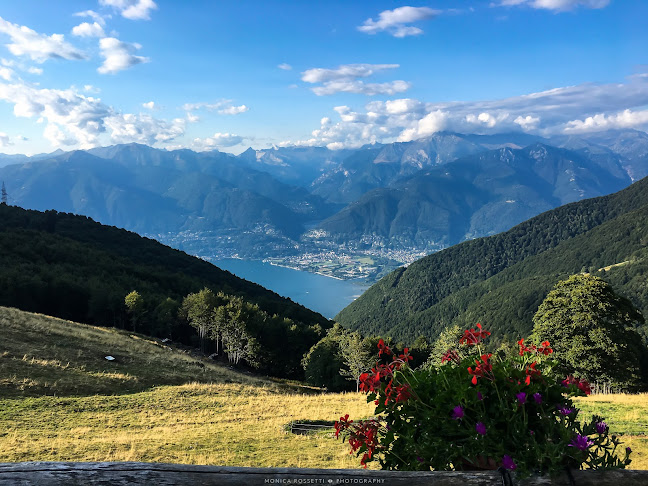 Kommentare und Rezensionen über Alpe di Neggia