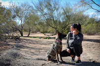Start Pawsitive Dog Training - Photo 6 - Car repair in Tucson, AZ, Tucson