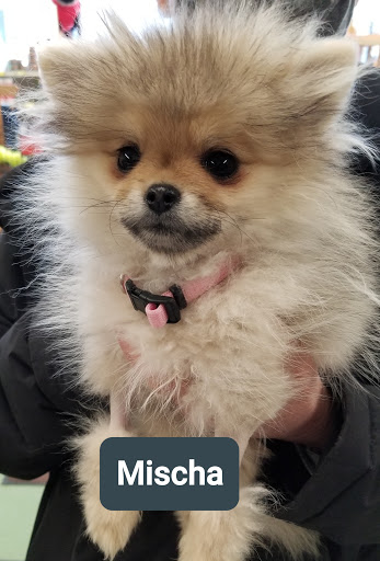 Pet Supply Store «Animal Krackers Inc», reviews and photos, 232 Main St, Gloucester, MA 01930, USA