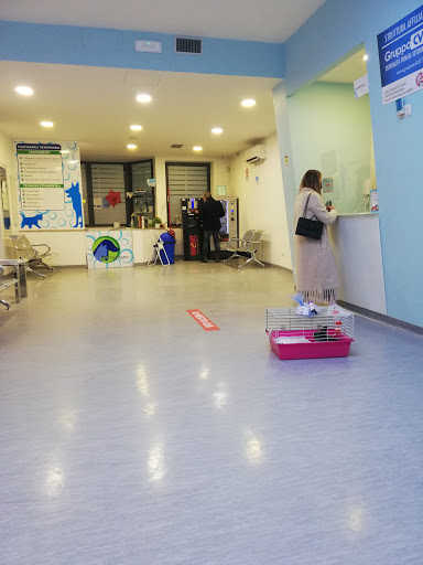Pensioni per cani e dog hotel a Clinica Veterinaria Checkup Vet