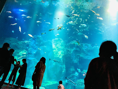 男鹿水族館GAO 駐車場