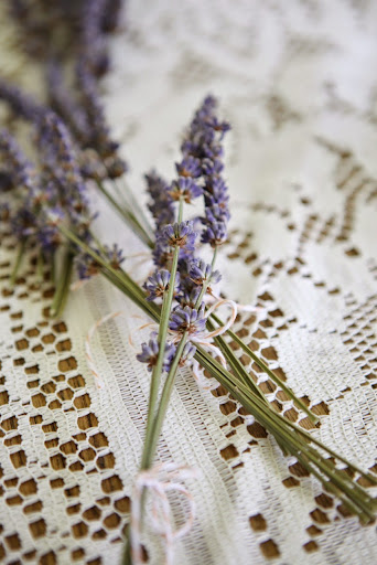 Wedding Planner «Calluna Events», reviews and photos, 1435 Yarmouth Ave #101, Boulder, CO 80304, USA