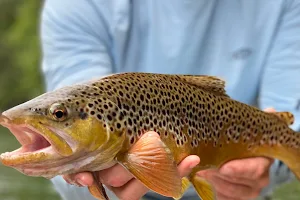 Wesley Hodges Fly Fishing image