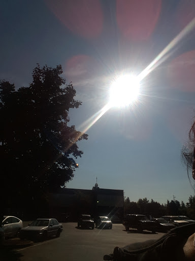 Homeless Shelter «My Fathers House», reviews and photos