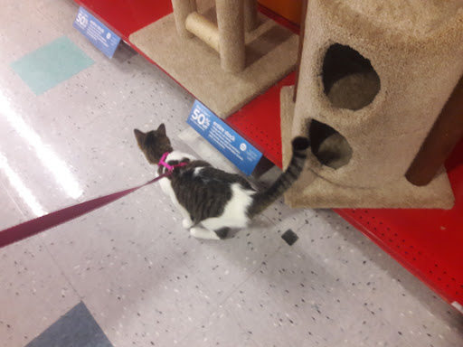 Pet Supply Store «Petco Animal Supplies», reviews and photos, 10235 Indianapolis Blvd, Highland, IN 46322, USA