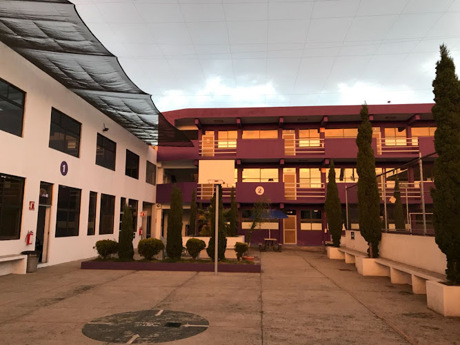 IUT – IUYTEM Instituto Universitario y Tecnológico del Estado de México