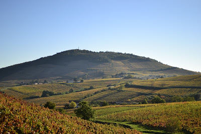 Terroirs Originels à Quincié-en-Beaujolais
