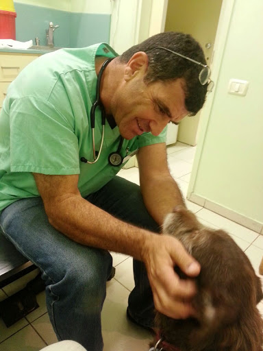 Givatayim pets Clinic