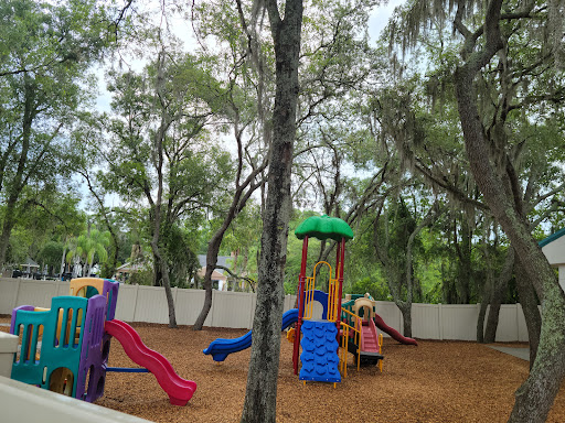 Learning Center «Panda Hugs Learning Center», reviews and photos, 15051 Bruce B Downs Blvd, Tampa, FL 33647, USA