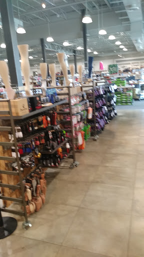 Shoe Store «DSW Designer Shoe Warehouse», reviews and photos, 12997 Fair Lakes Shopping Center, Fairfax, VA 22033, USA