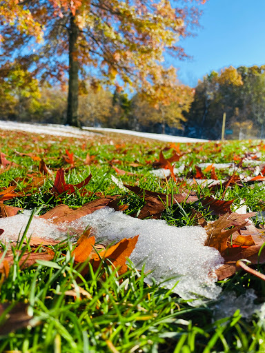 Park «Ghiloni Park», reviews and photos, 239 Concord Rd, Marlborough, MA 01752, USA