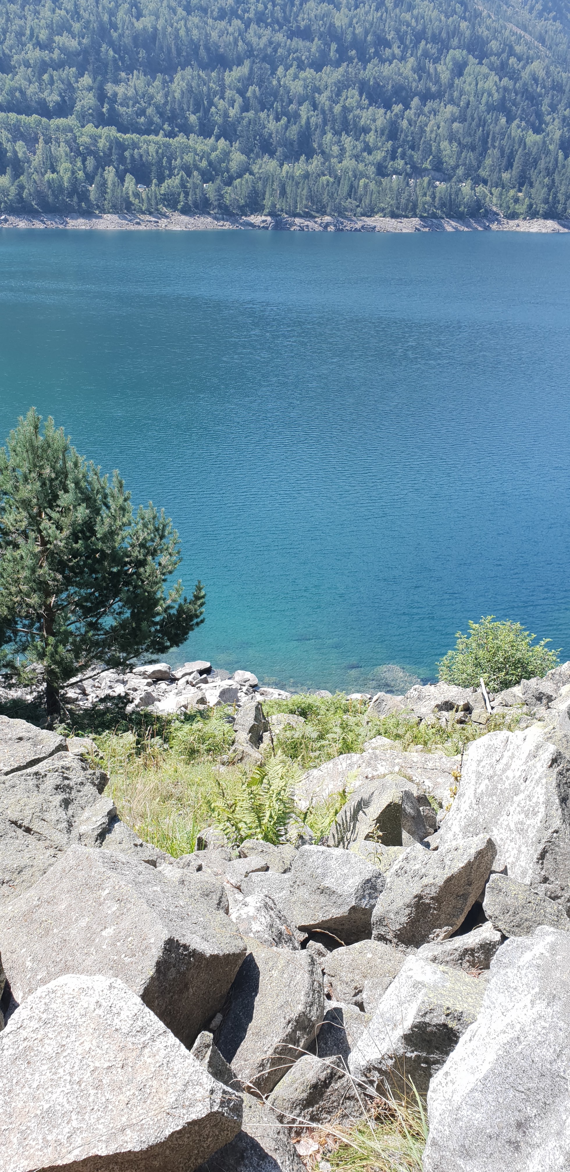 Photo n° 10 de l'avis de Cla.3 fait le 27/08/2018 à 08:15