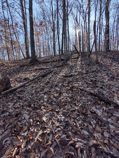 Nature Preserve «Laura Hare Nature Preserve at Downey Hill», reviews and photos, Valley Branch Rd, Nashville, IN 47448, USA