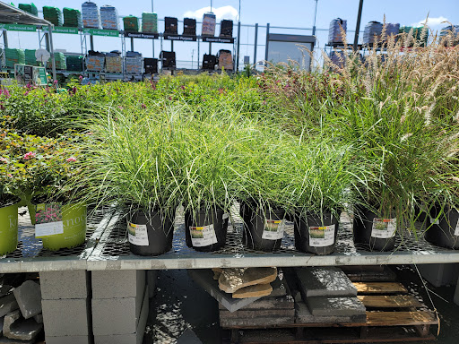 Home Improvement Store «The Home Depot», reviews and photos, 3051 W Radio Dr, Florence, SC 29501, USA