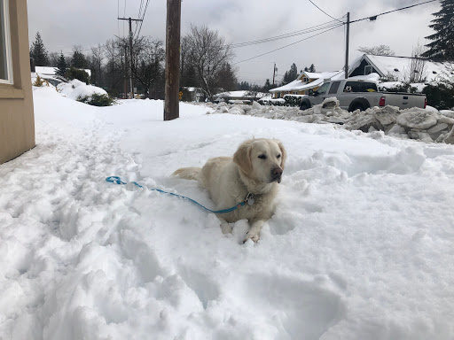 Pet Supply Store «Pet Place Market», reviews and photos, 213 Bendigo Blvd N #2, North Bend, WA 98045, USA