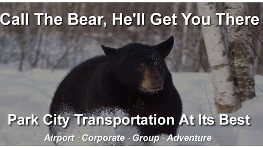 Bear Transportation - AZexplained