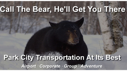 Bear Transportation