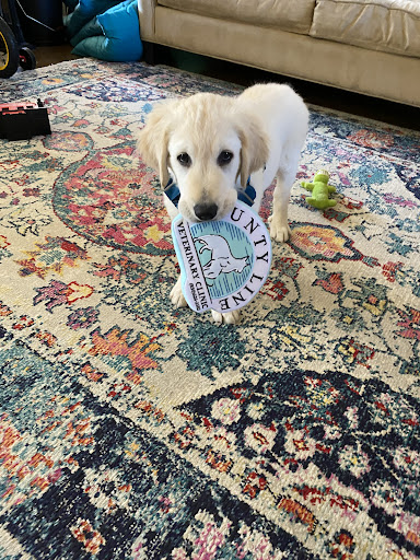 1928 S Seguin Ave #108, New Braunfels, TX 78130, USA